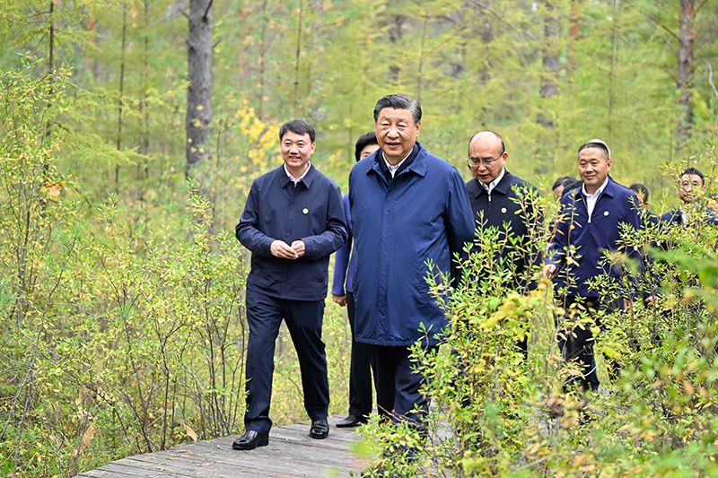 9月6日至8日，中共中央總書記、國家主席、中央軍委主席習(xí)近平在黑龍江考察。這是6日下午，習(xí)近平在大興安嶺地區(qū)漠河市漠河林場自然林區(qū)考察